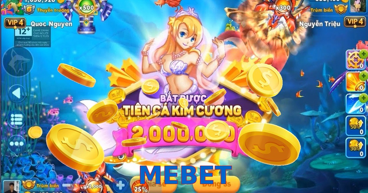 MEBET